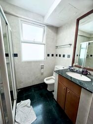 Evergreen Park (D19), Apartment #550925411